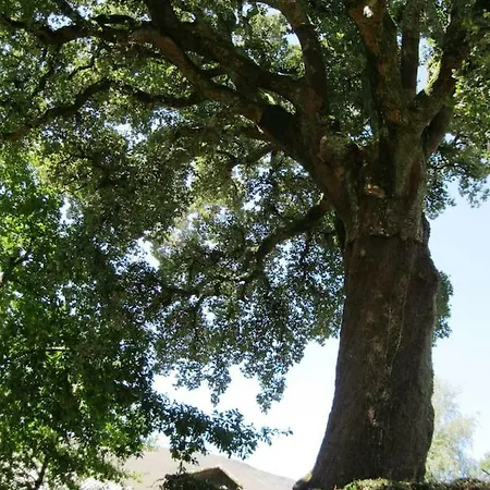 Casa Campinas
