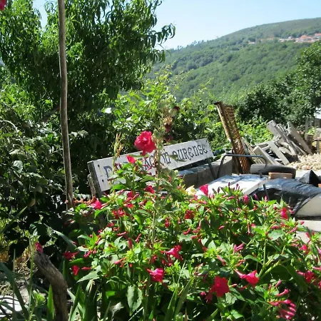 Casa Campinas Semesterbostad
