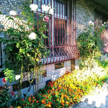 Casa Campinas * O Irixo